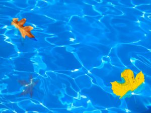 Como Mantener Una Piscina