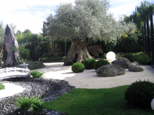 Como Montar Un Jardin De Bajo Mantenimiento Scaled