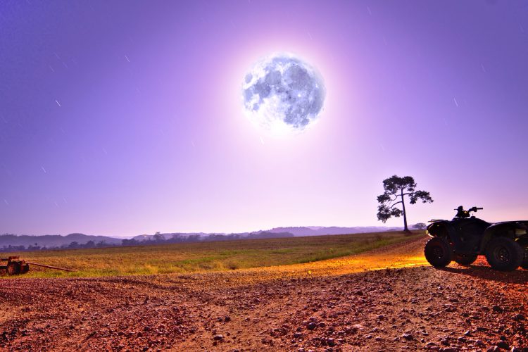 Como Plantar Con El Ciclo Lunar