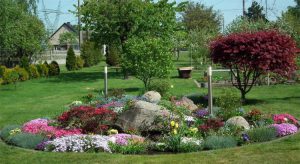 Como Plantar Un Arbol En Tu Jardin