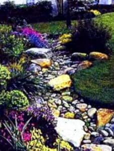 Como Proteger Su Jardin Contra La Sequia 1 E1619475066912