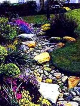 Como Proteger Su Jardin Contra La Sequia 1 E1619475066912