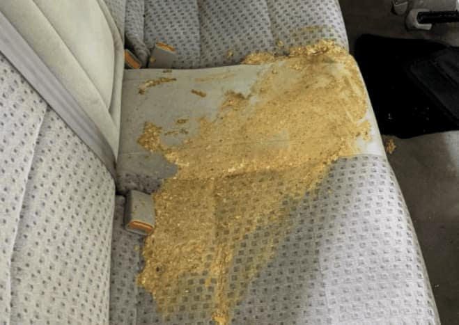 Como Quitar El Vomito Del Interior De Un Automovil