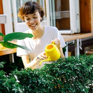 Como Regar Correctamente El Cesped Y El Jardin