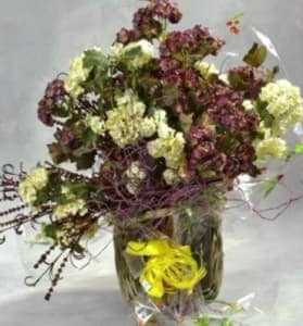 Como Secar Flores
