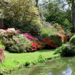 Como Tener Un Jardin De Sombra Facil