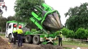 Como Trasplantar Un Arbol