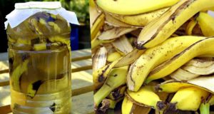 Como Usar Los Platanos Como Fertilizante 1