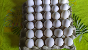 Como Usar Todo Lo Que Viene En Un Carton De Huevos