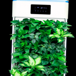 Como Utilizar Purificadores De Aire Naturales 4