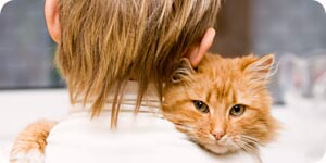 Foto De Amor Felino