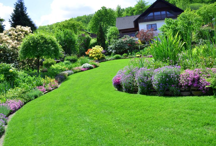 Garden Landscape