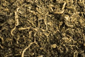 How To Build A Compost Bin