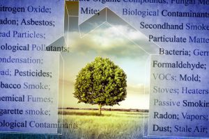 Indoor Air Quality