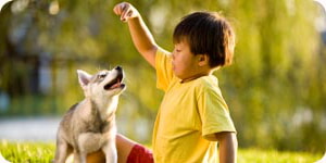 Jugar Al Aire Libre Con Mascota