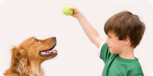 Nino Jugando Con Su Perro Mascota