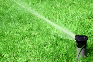 Sprinkler Repair
