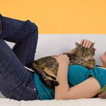 Tener Un Gato